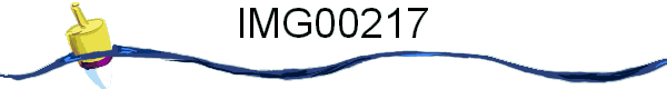 IMG00217