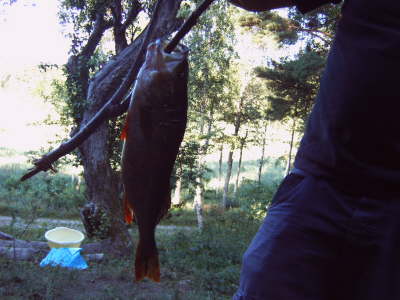 IMG00192