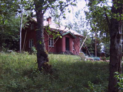 IMG00206