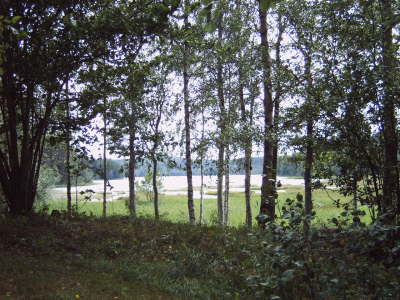 IMG00208