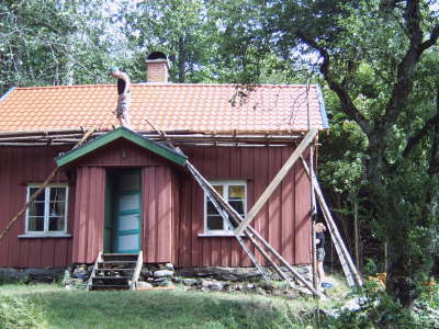 IMG00210