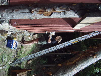 IMG00211