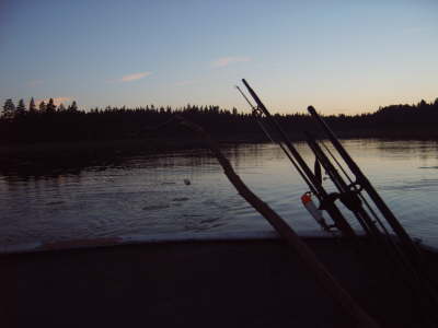 IMG00214