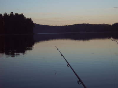 IMG00216