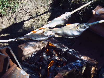 IMG00222