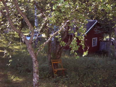 IMG00223