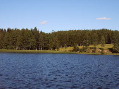 IMG00225