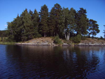 IMG00226