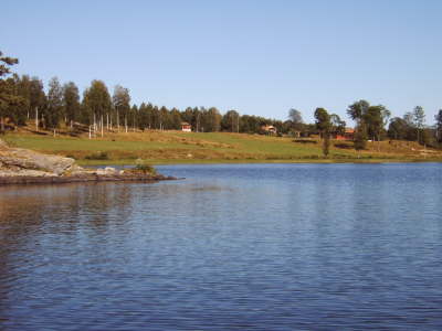IMG00227