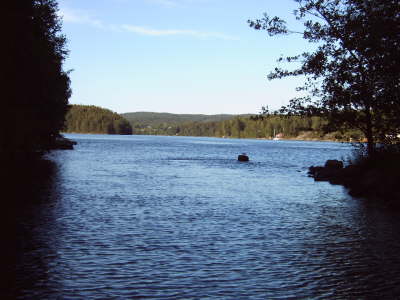 IMG00229