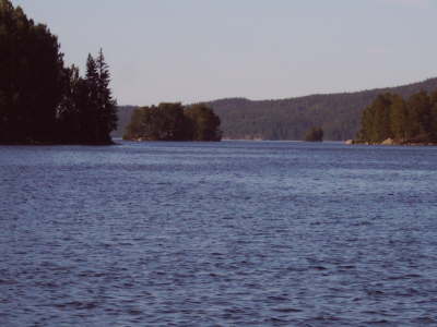 IMG00231